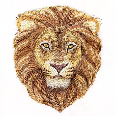 Pride & Majesty Lion