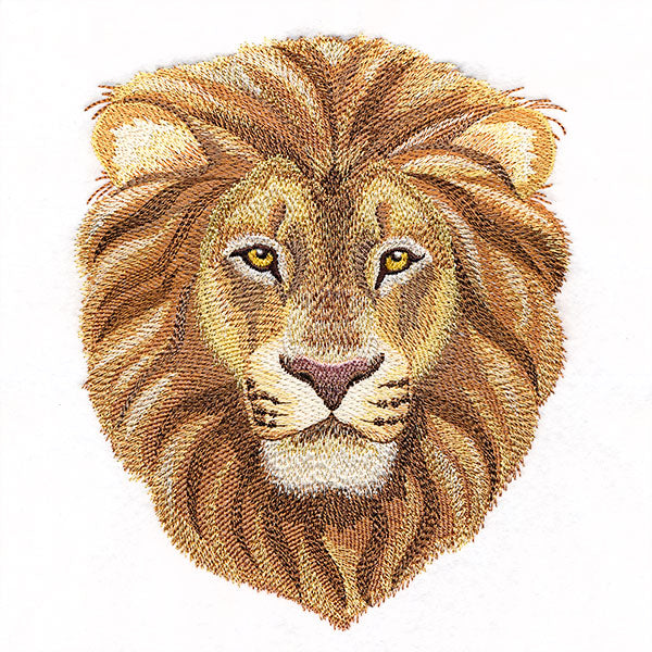 Pride & Majesty Lion