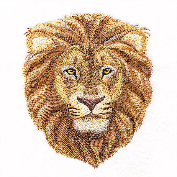 Pride & Majesty Lion