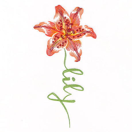 Flourishing Calligraphy - Lily