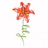 Flourishing Calligraphy - Lily