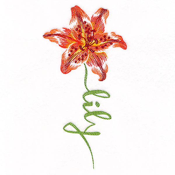 Flourishing Calligraphy - Lily