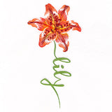 Flourishing Calligraphy - Lily