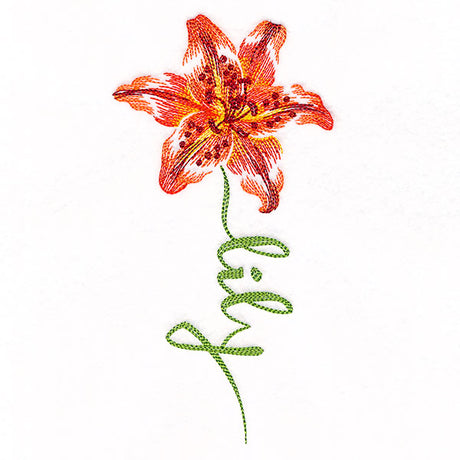 Flourishing Calligraphy - Lily