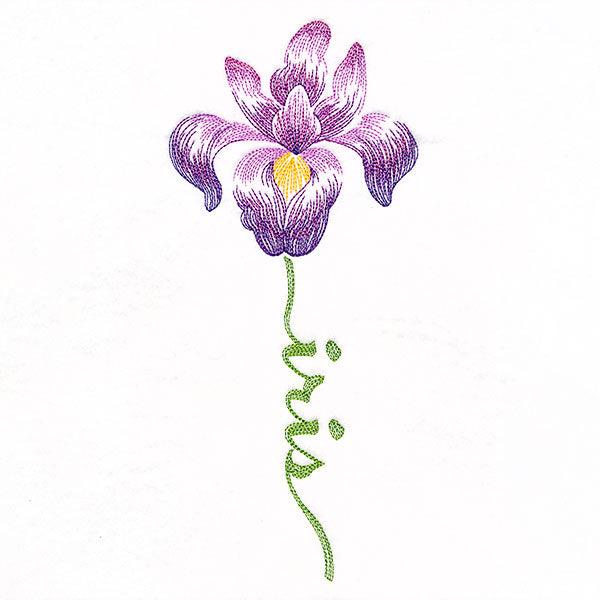 Flourishing Calligraphy - Iris