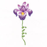Flourishing Calligraphy - Iris