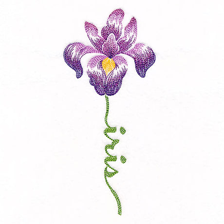 Flourishing Calligraphy - Iris