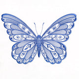 Patterns & Texture Butterfly