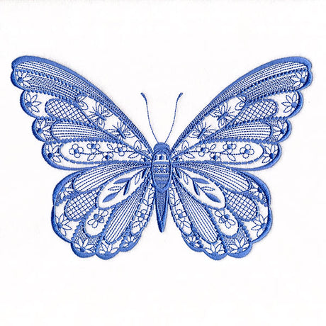 Patterns & Texture Butterfly