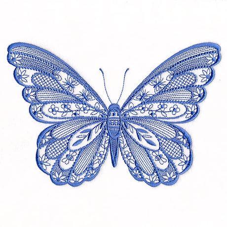 Patterns & Texture Butterfly