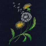Wispy Dandelions
