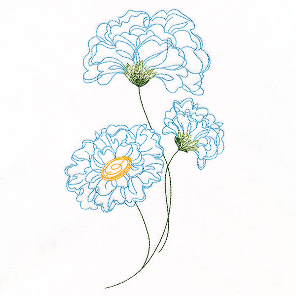 Peony Flowers in Bloom