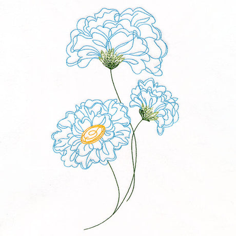 Peony Flowers in Bloom