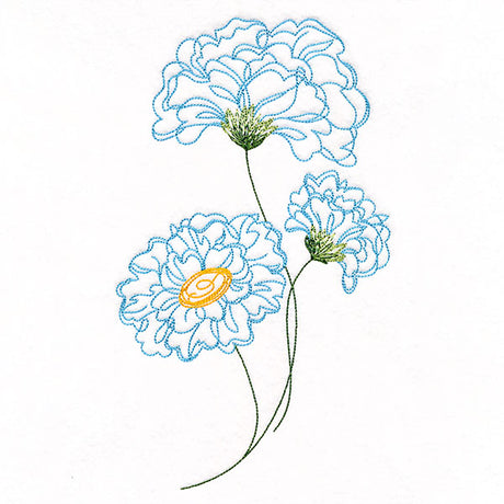 Peony Flowers in Bloom