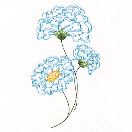 Peony Flowers in Bloom