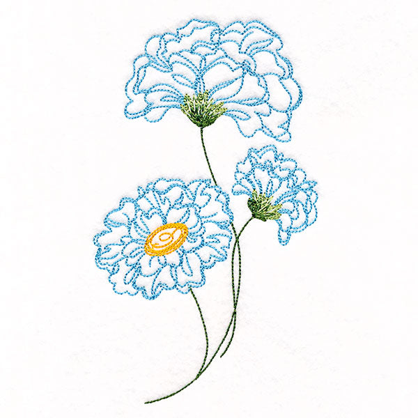 Peony Flowers in Bloom