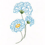 Peony Flowers in Bloom