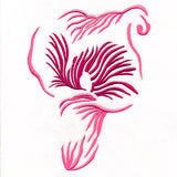 Modern Blooms Calla Lily