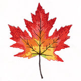 Vibrant Textures Maple Leaf