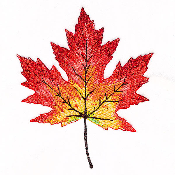 Vibrant Textures Maple Leaf