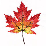 Vibrant Textures Maple Leaf