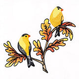 Goldfinches on Autumn Oak Branches