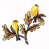 Goldfinches on Autumn Oak Branches