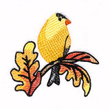 Goldfinch on Autumn Oak Branches