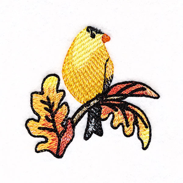 Goldfinch on Autumn Oak Branches