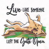 Left the Gate Open Dog