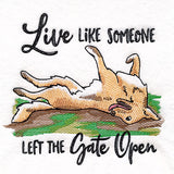 Left the Gate Open Dog