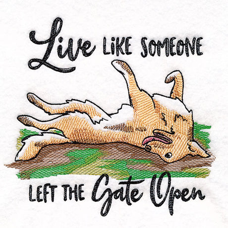 Left the Gate Open Dog