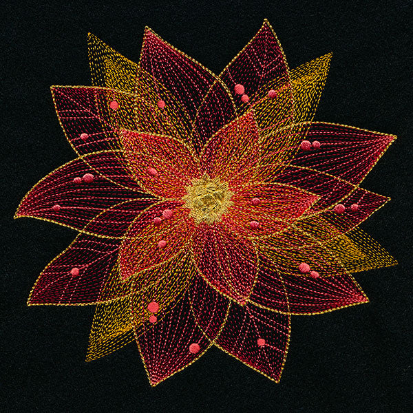 Sheer Contours Christmas Poinsettia