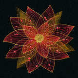 Sheer Contours Christmas Poinsettia