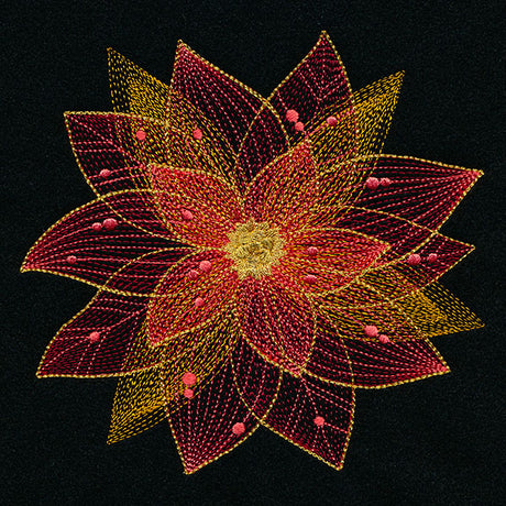 Sheer Contours Christmas Poinsettia