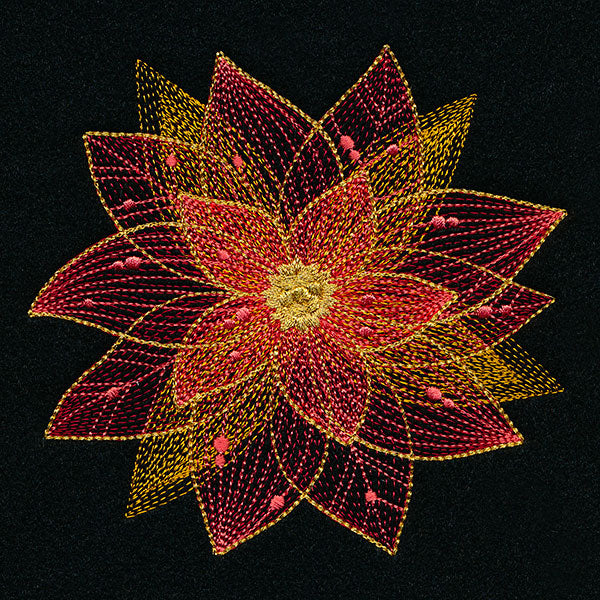 Sheer Contours Christmas Poinsettia