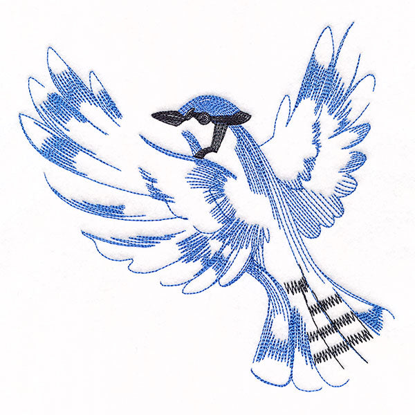 Contours of Beauty Blue Jay