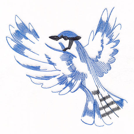 Contours of Beauty Blue Jay