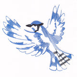 Contours of Beauty Blue Jay