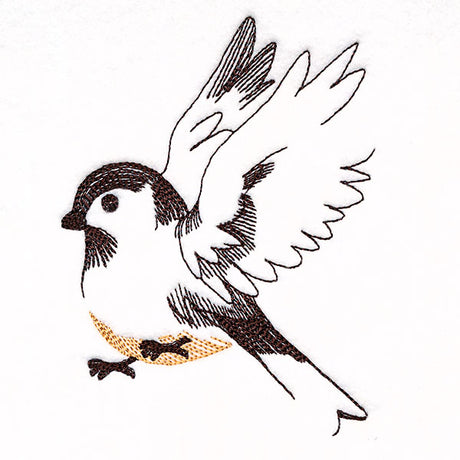 Contours of Beauty Chickadee