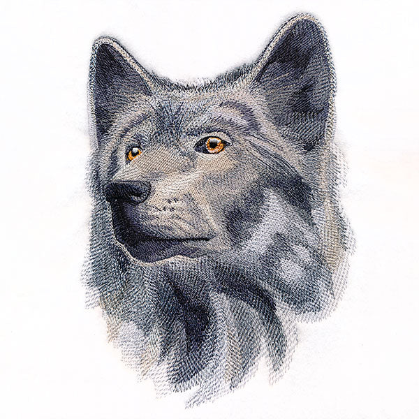 Wild Wolf Portrait