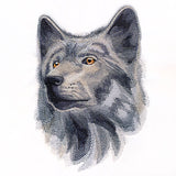Wild Wolf Portrait