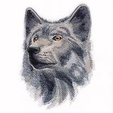 Wild Wolf Portrait