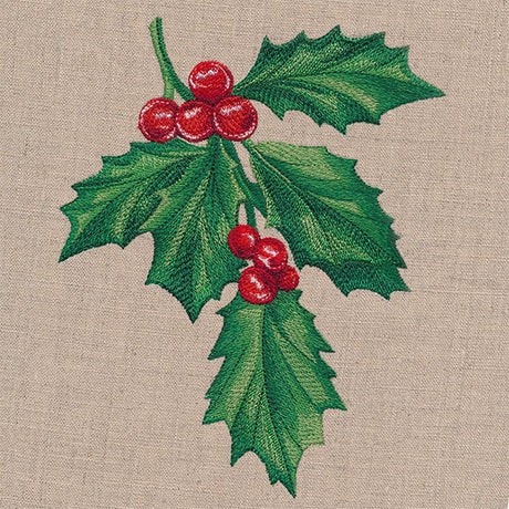 Holly & Berries