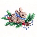 Winter Bunny Feature