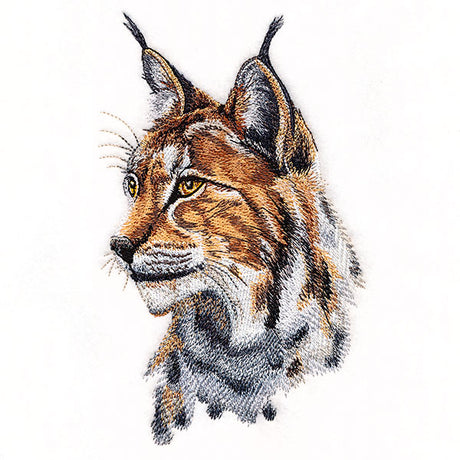 Lynx Portrait