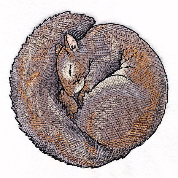 Sleeping Animal Circle - Squirrel