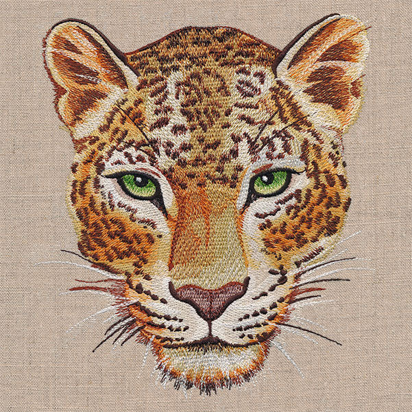 Leopard Portrait