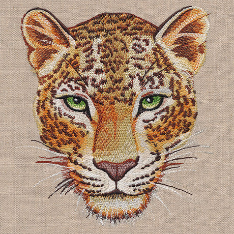 Leopard Portrait
