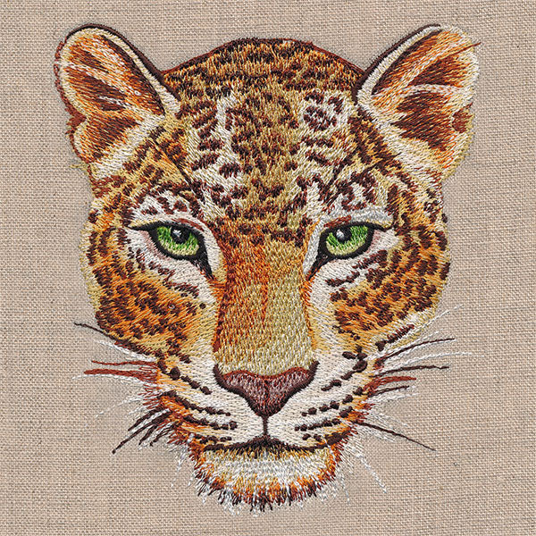 Leopard Portrait